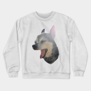 Tiny Dancer Crewneck Sweatshirt